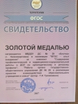 Золотая медаль международного конкурса ФГОС. Под эгидой международной славянской академии